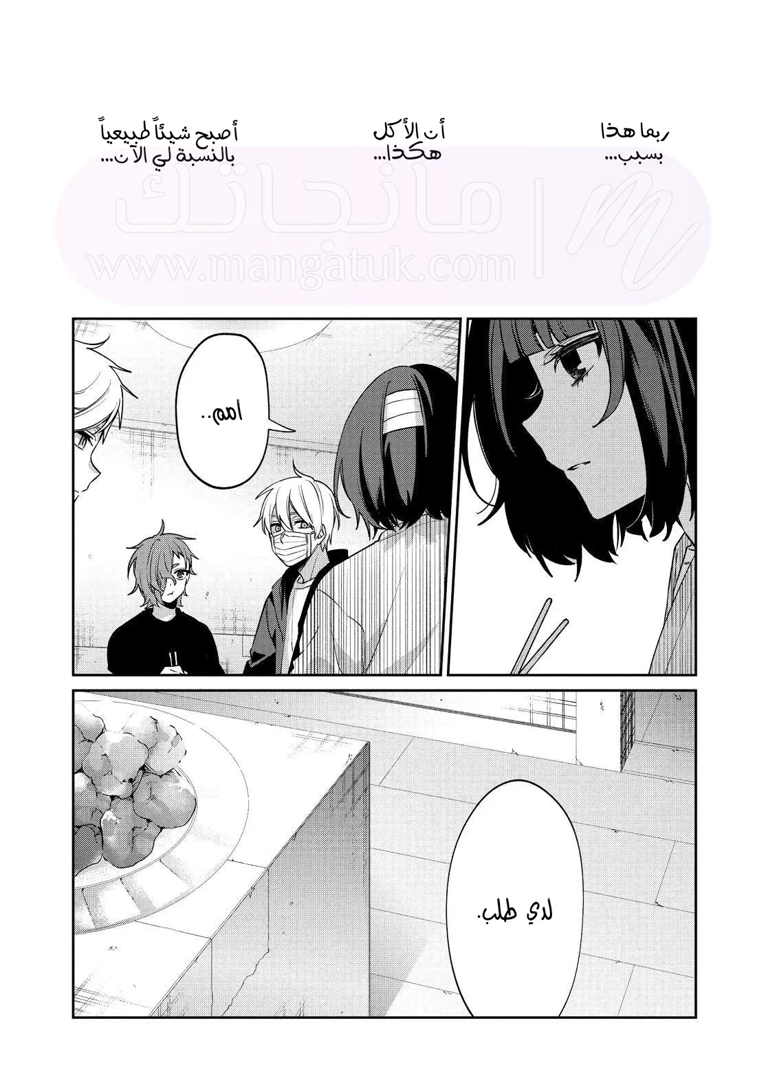 الصفحة 17
