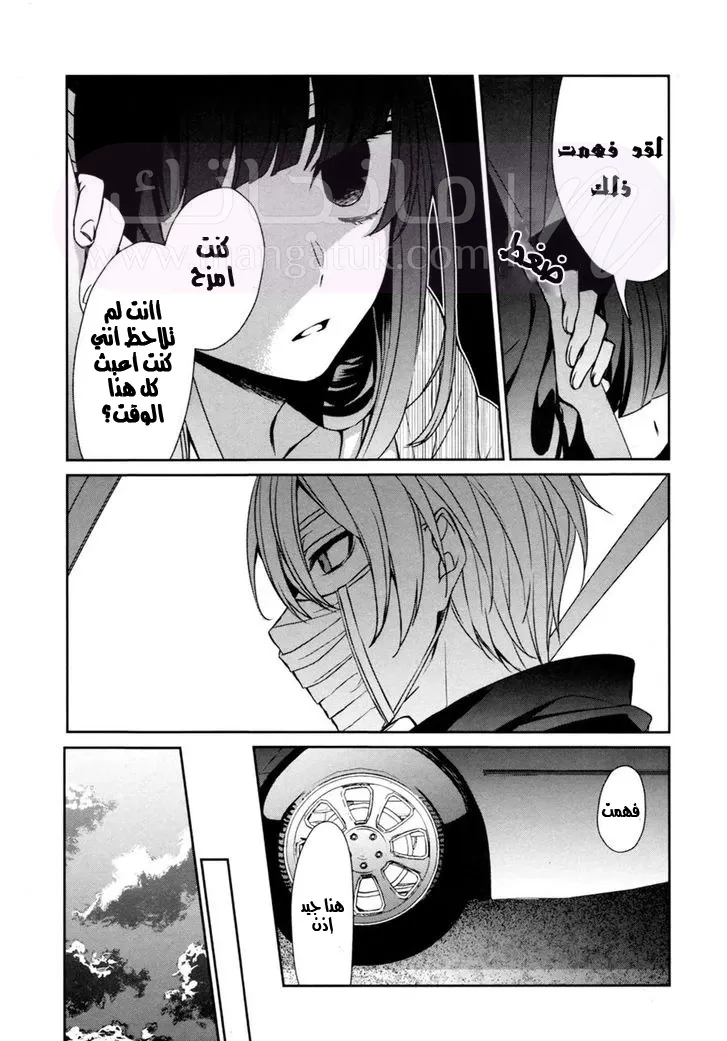 الصفحة 19