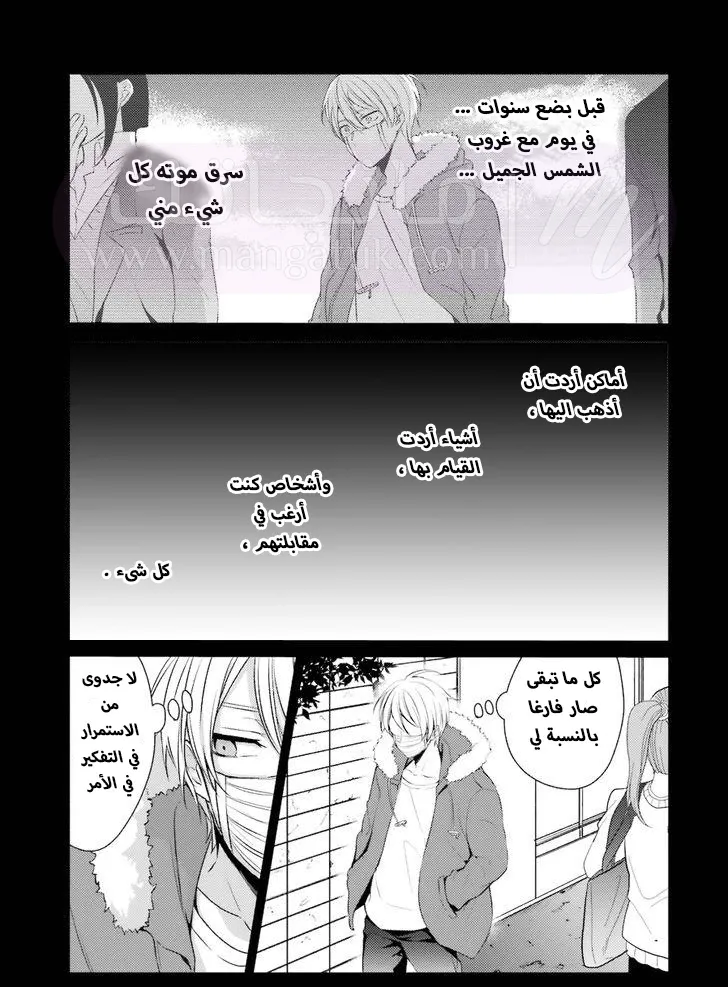 الصفحة 17