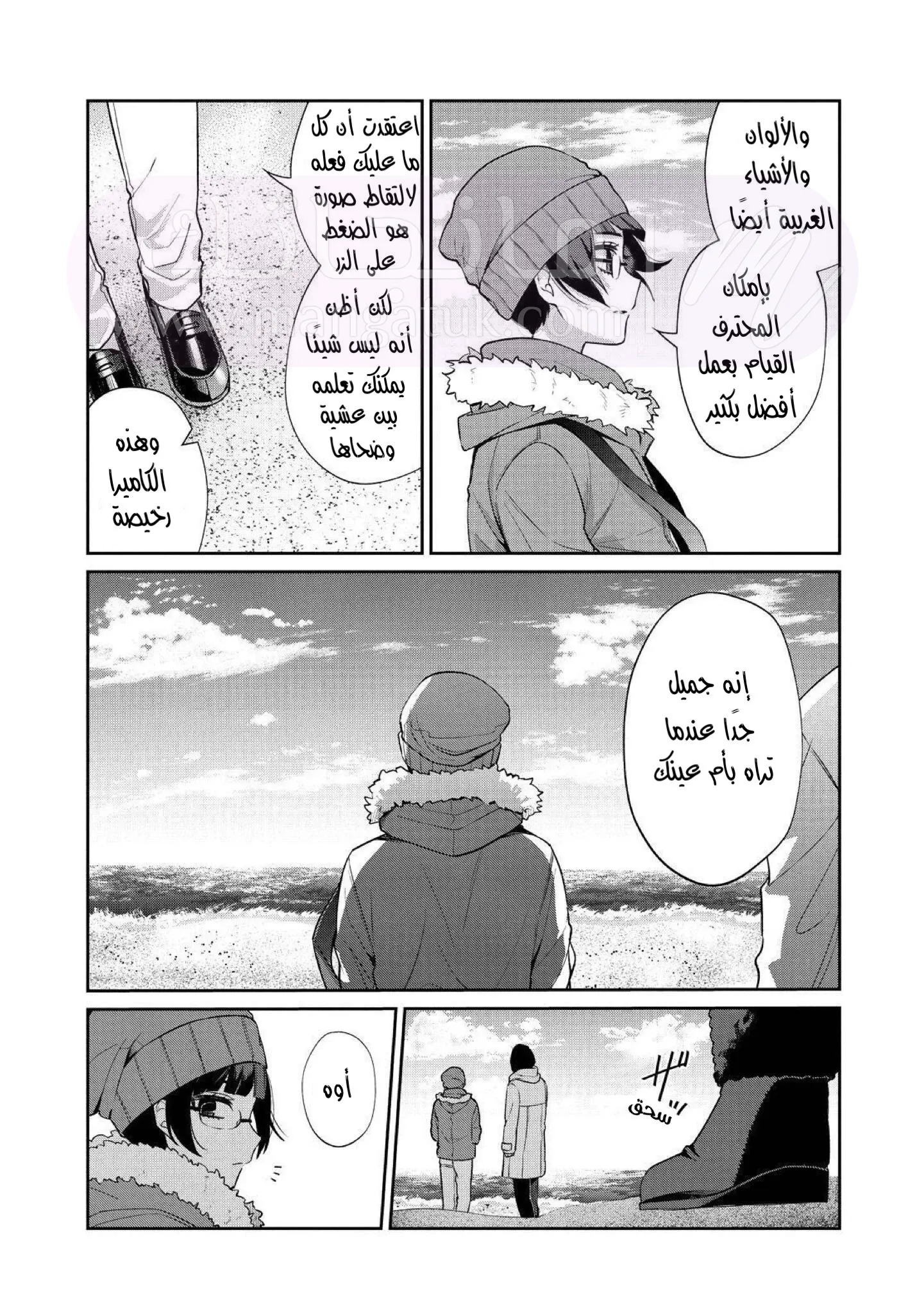 الصفحة 17
