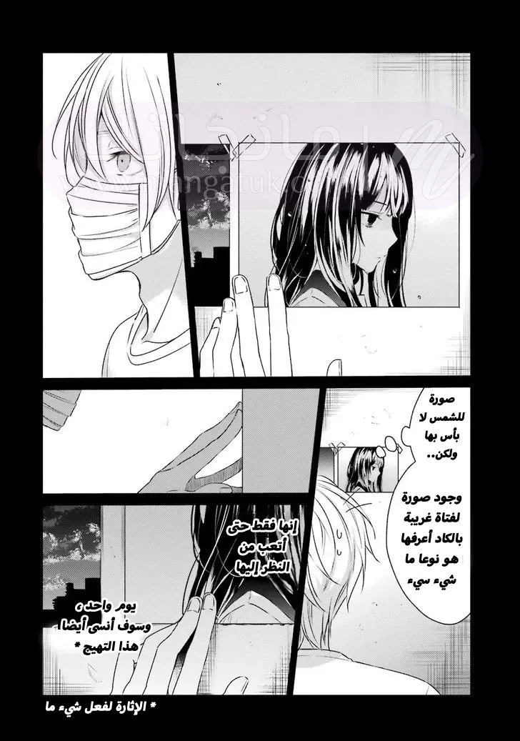 الصفحة 13