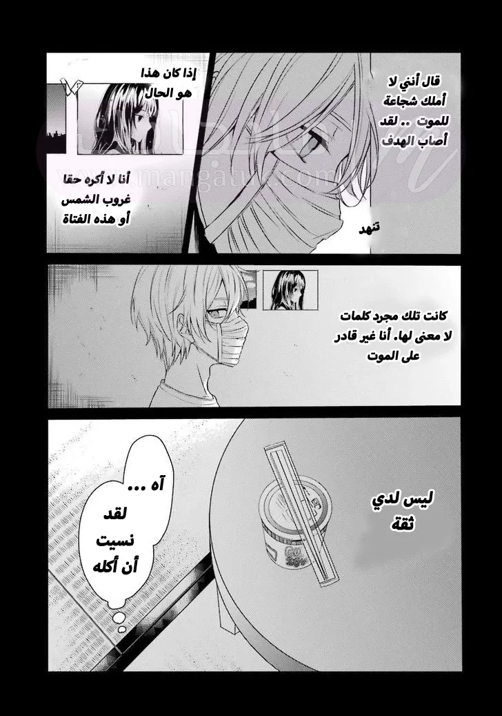 الصفحة 14