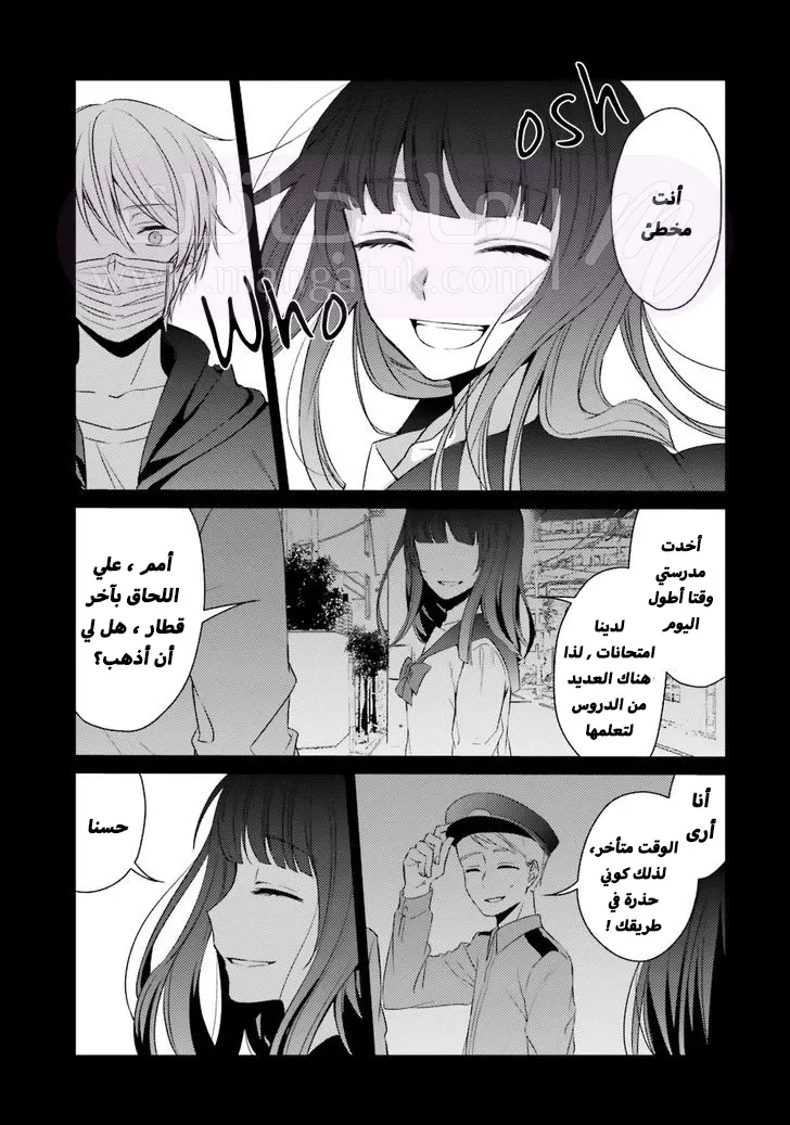 الصفحة 13