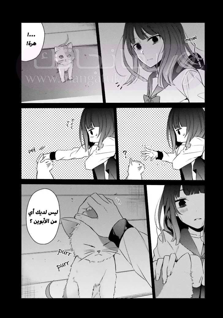 الصفحة 15