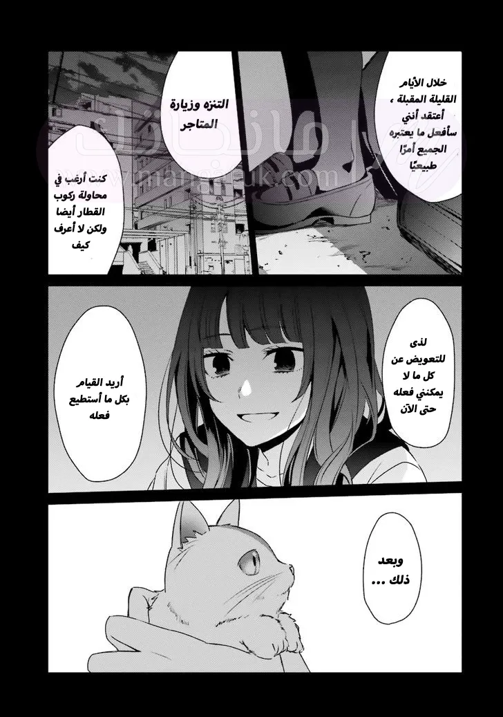الصفحة 17
