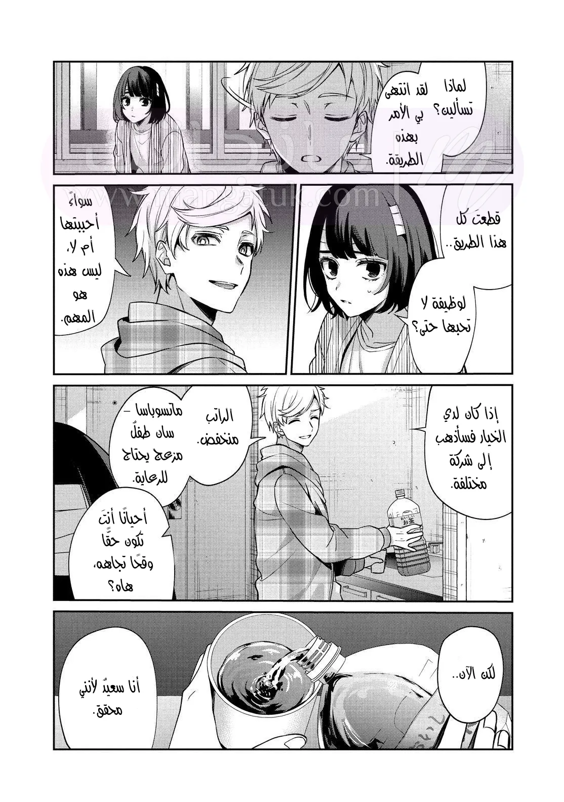 الصفحة 17
