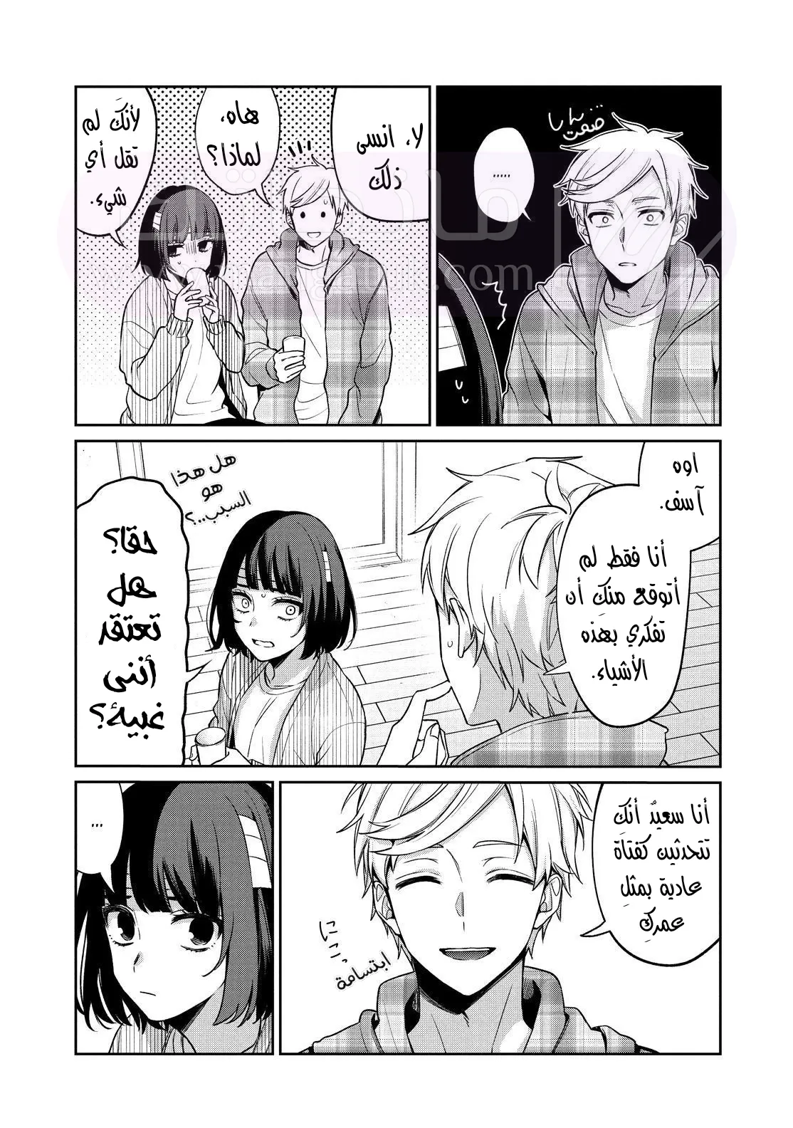 الصفحة 25