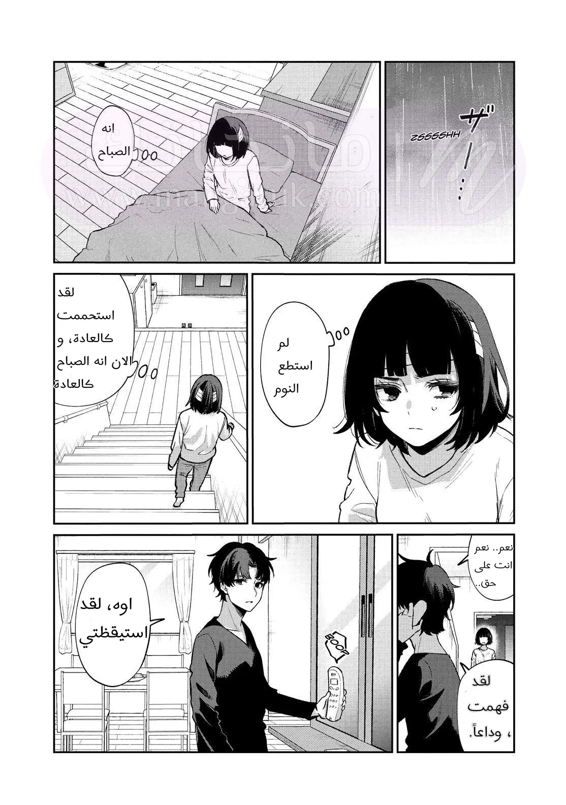 الصفحة 11
