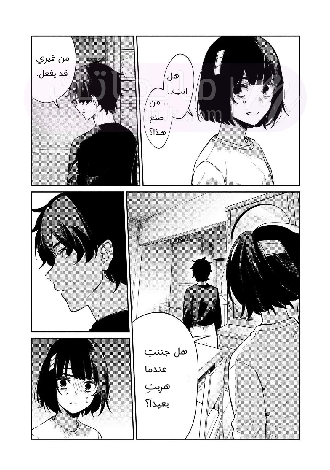 الصفحة 13