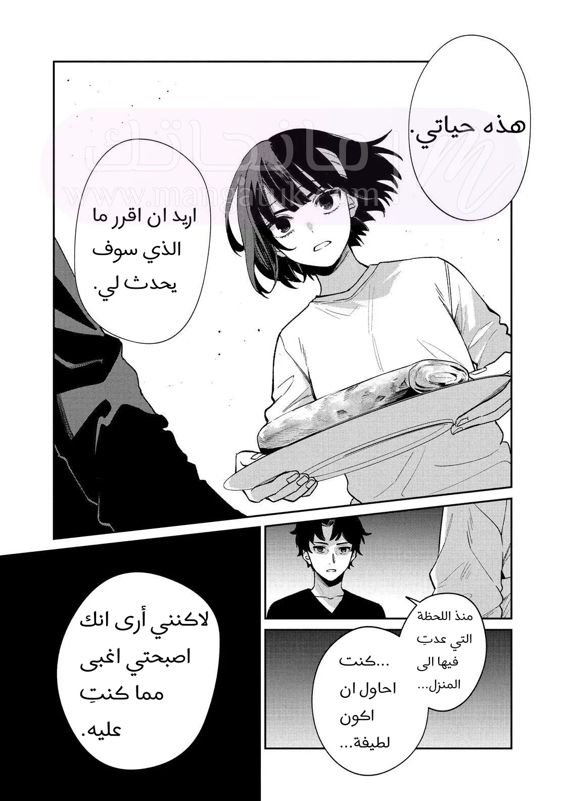 الصفحة 33