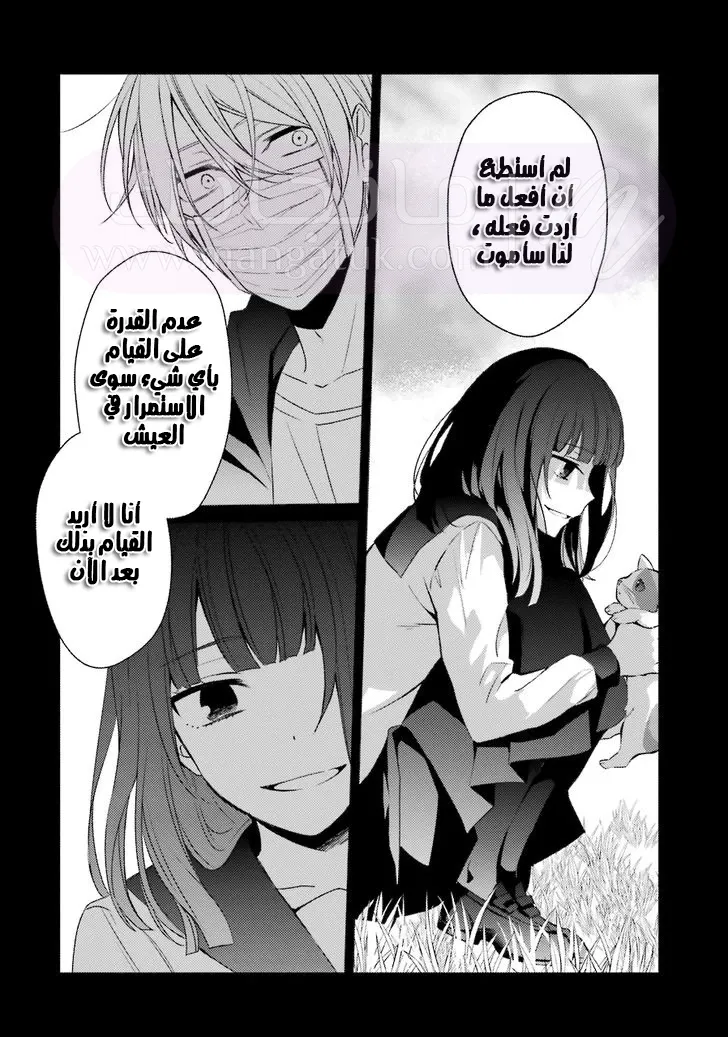 الصفحة 25