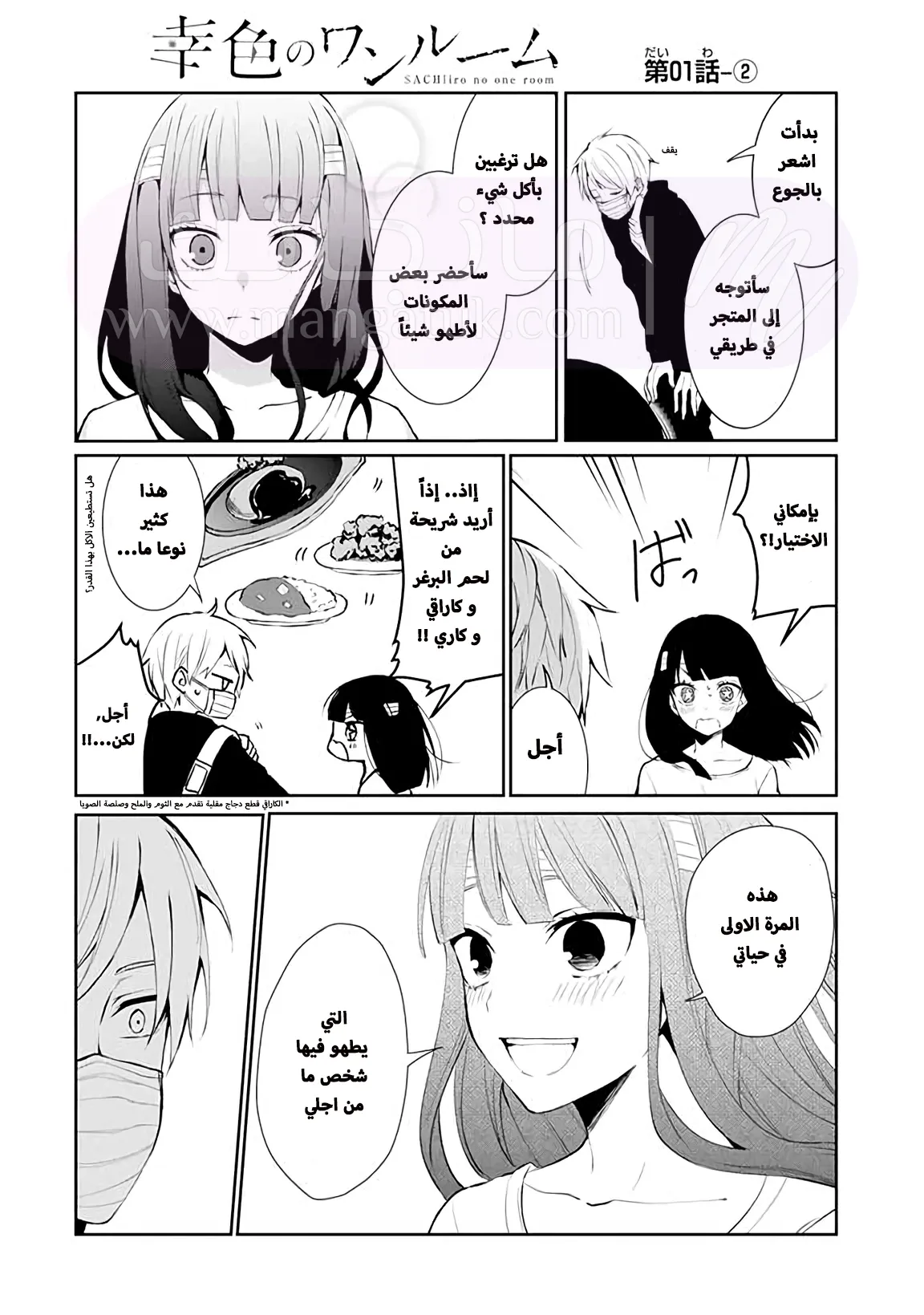 الصفحة 16