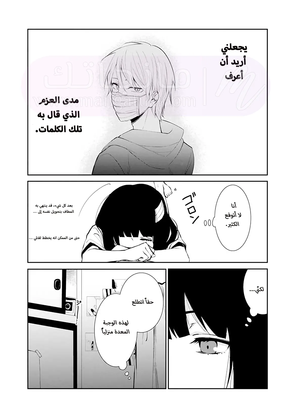 الصفحة 19