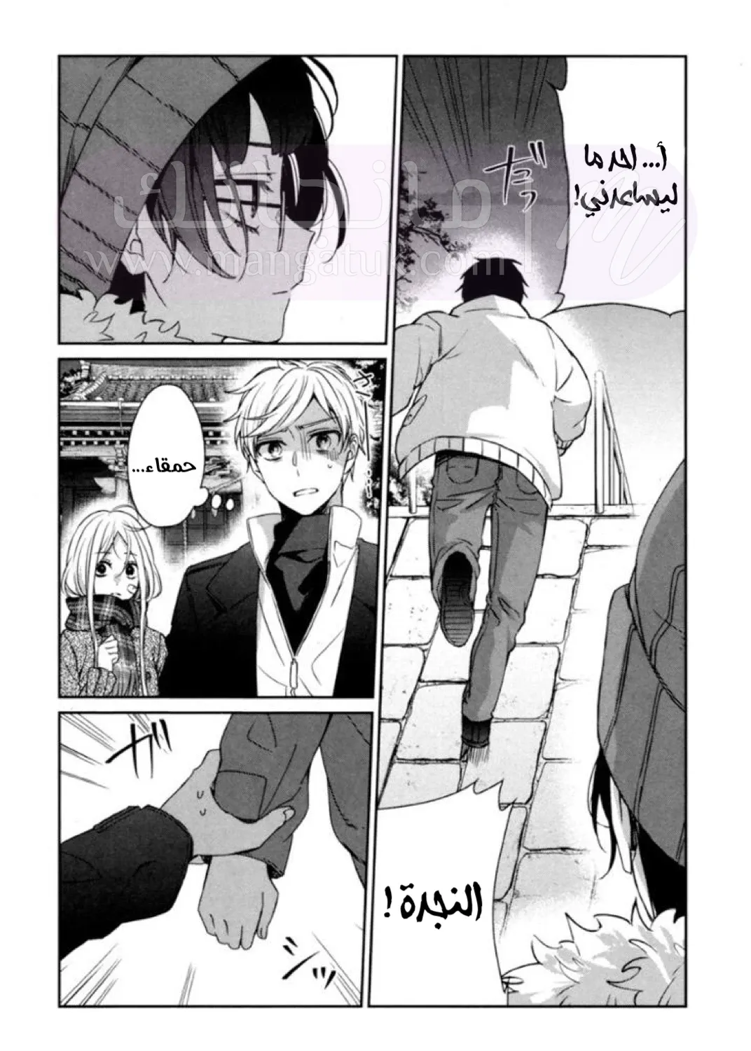 الصفحة 17