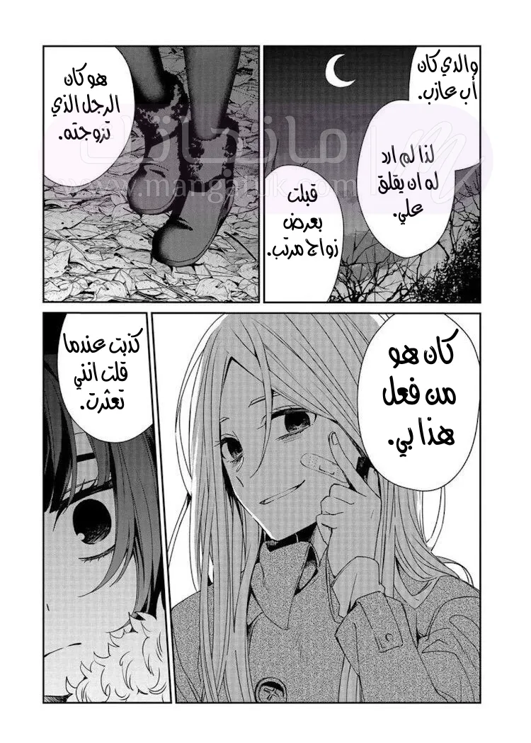 الصفحة 17