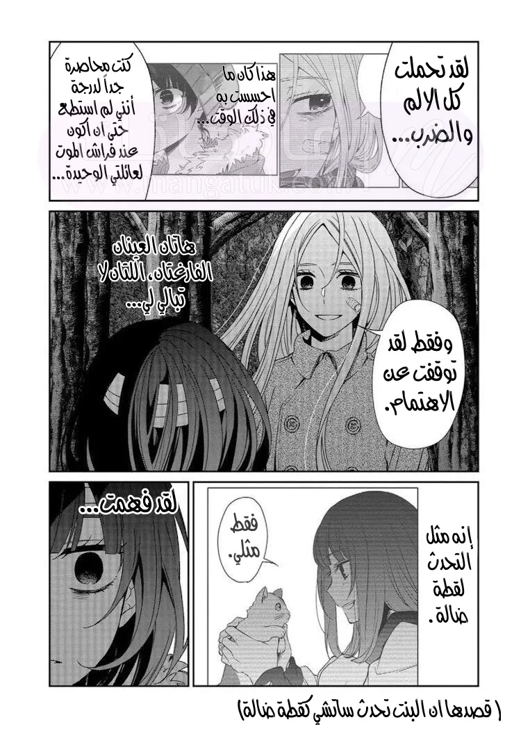 الصفحة 20