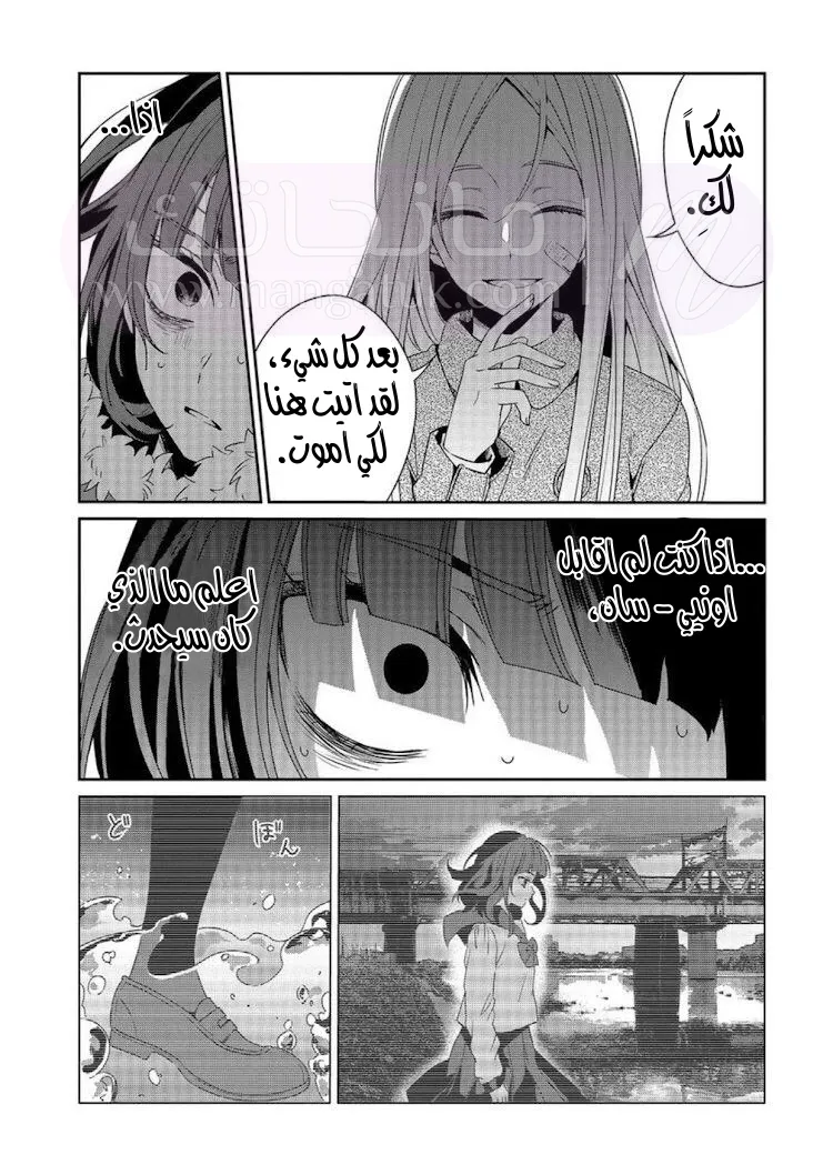 الصفحة 30