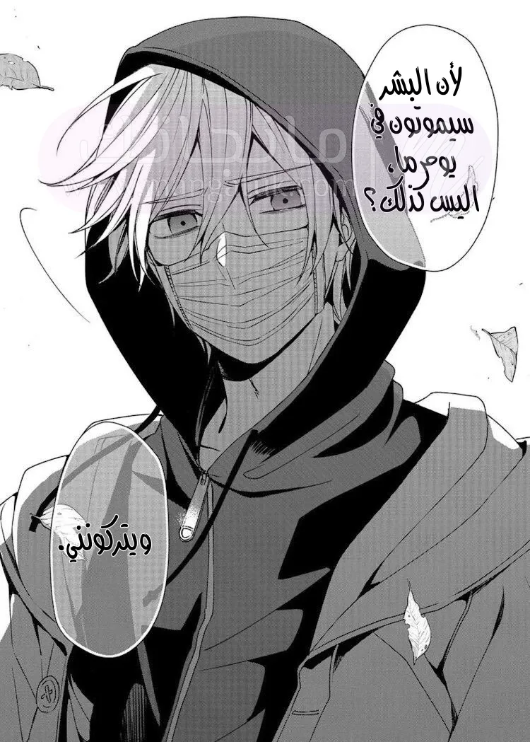 الصفحة 46