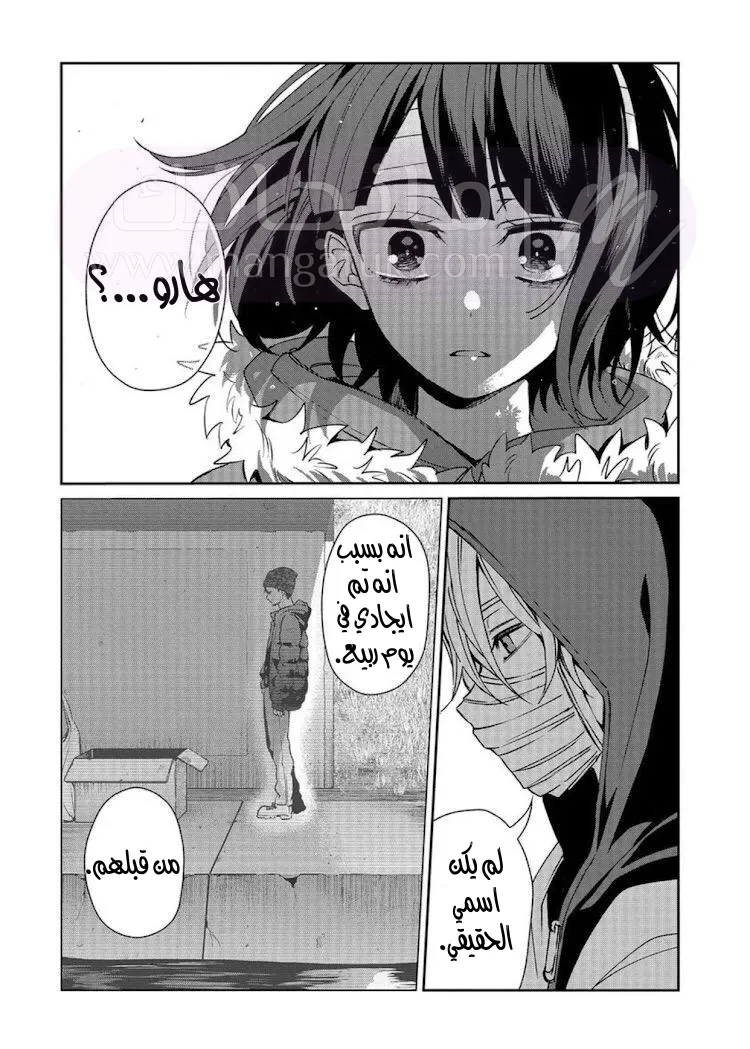 الصفحة 49