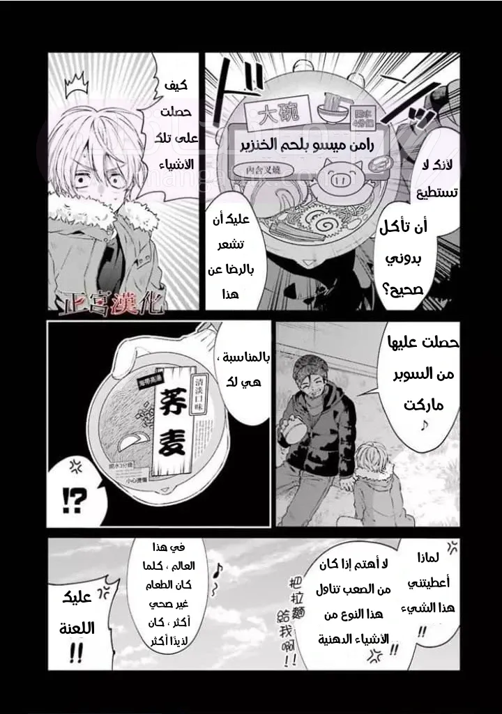 الصفحة 13