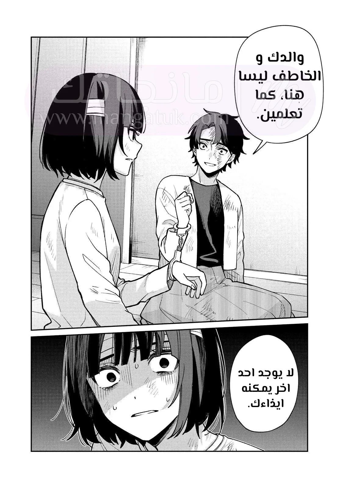 الصفحة 20