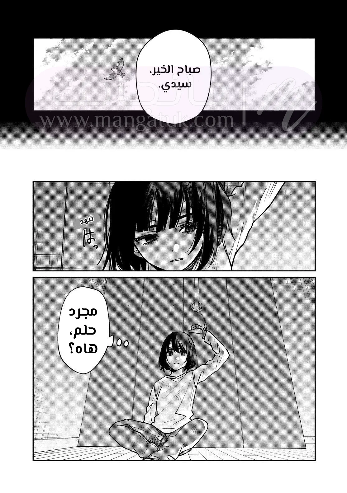 الصفحة 24