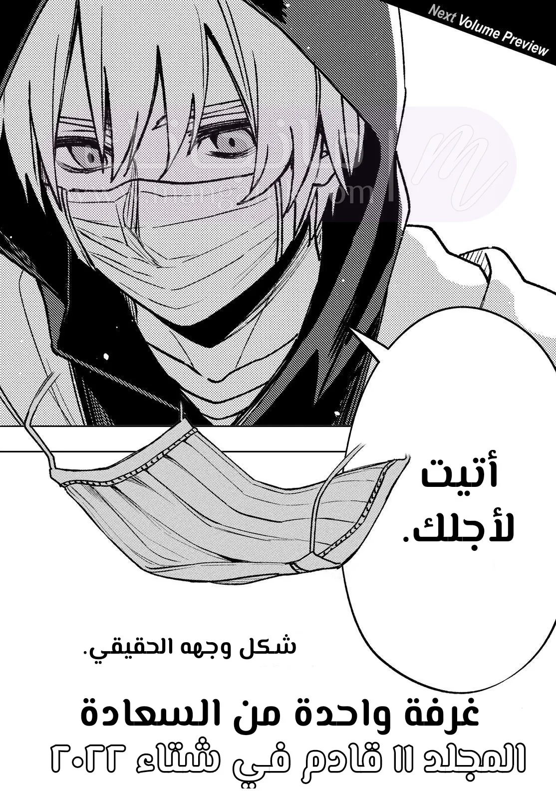 الصفحة 41