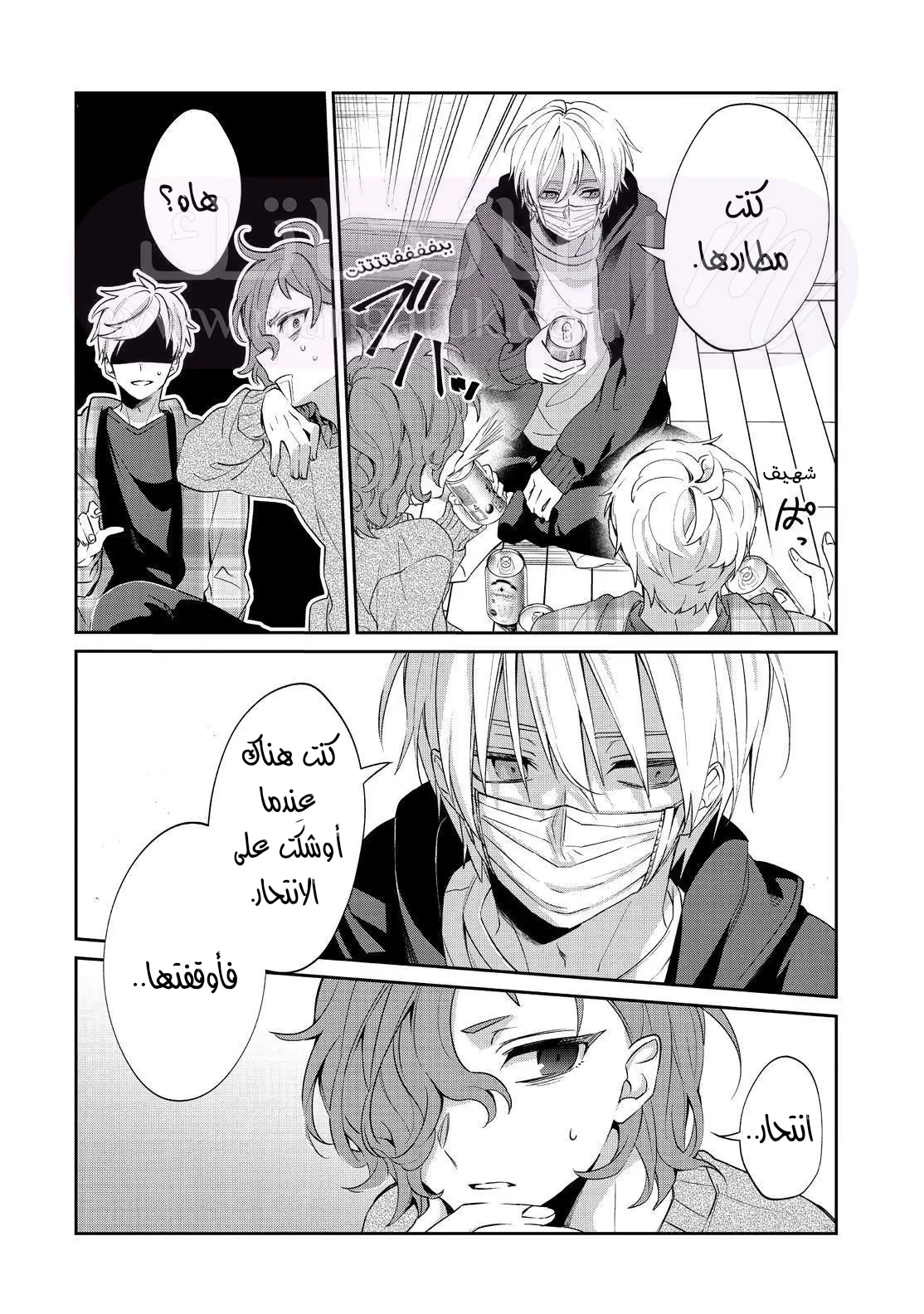 الصفحة 17