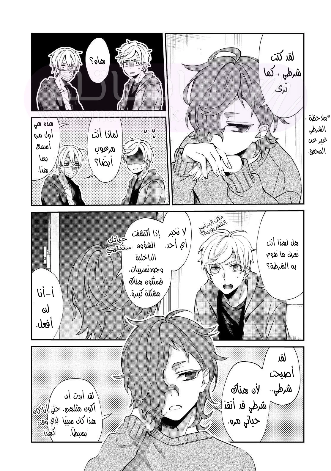 الصفحة 22