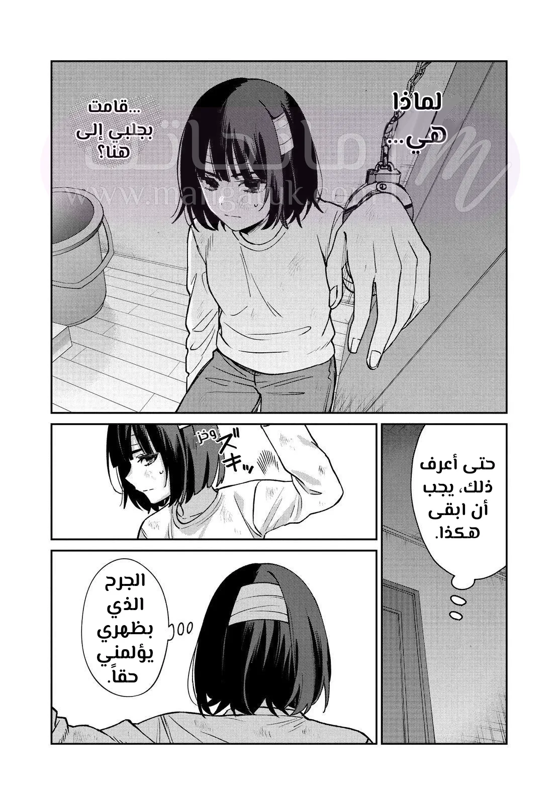 الصفحة 5