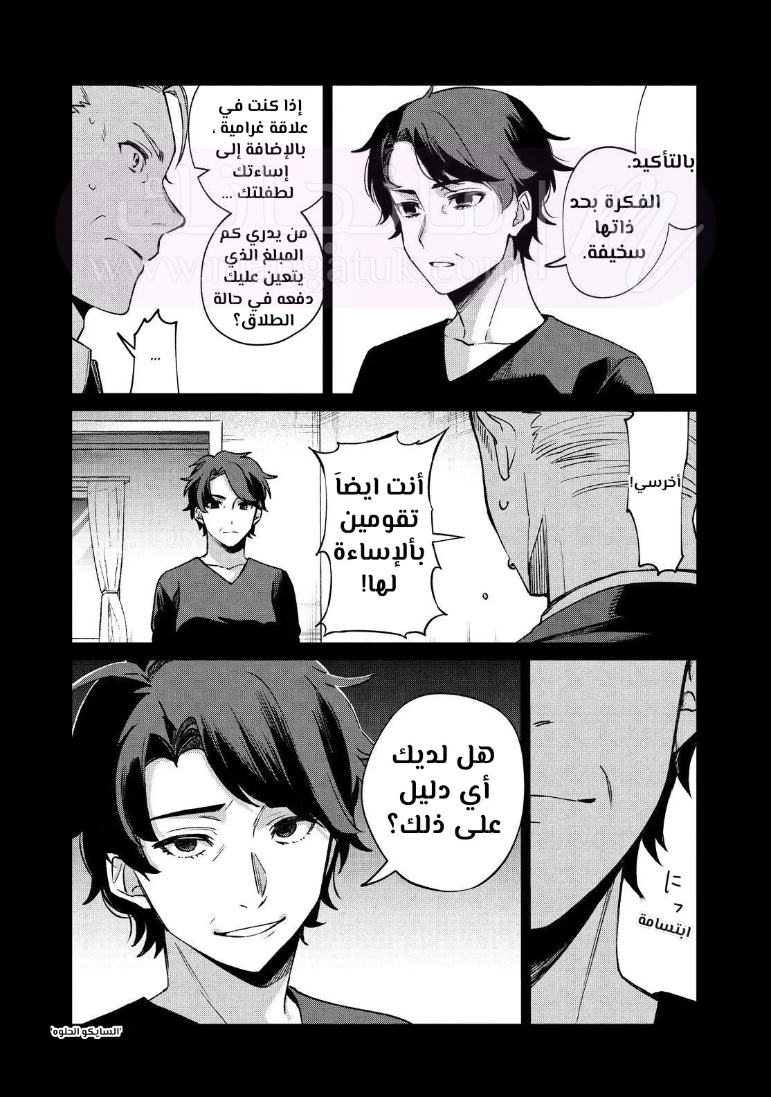 الصفحة 13