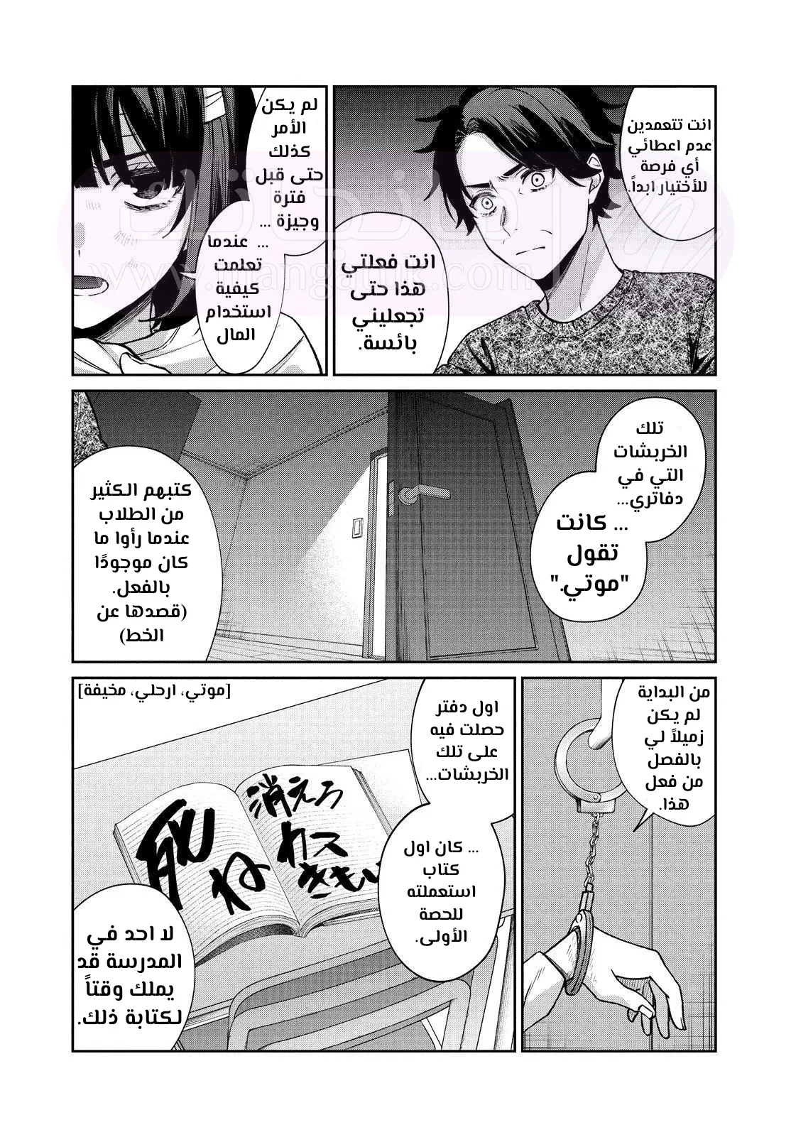 الصفحة 25