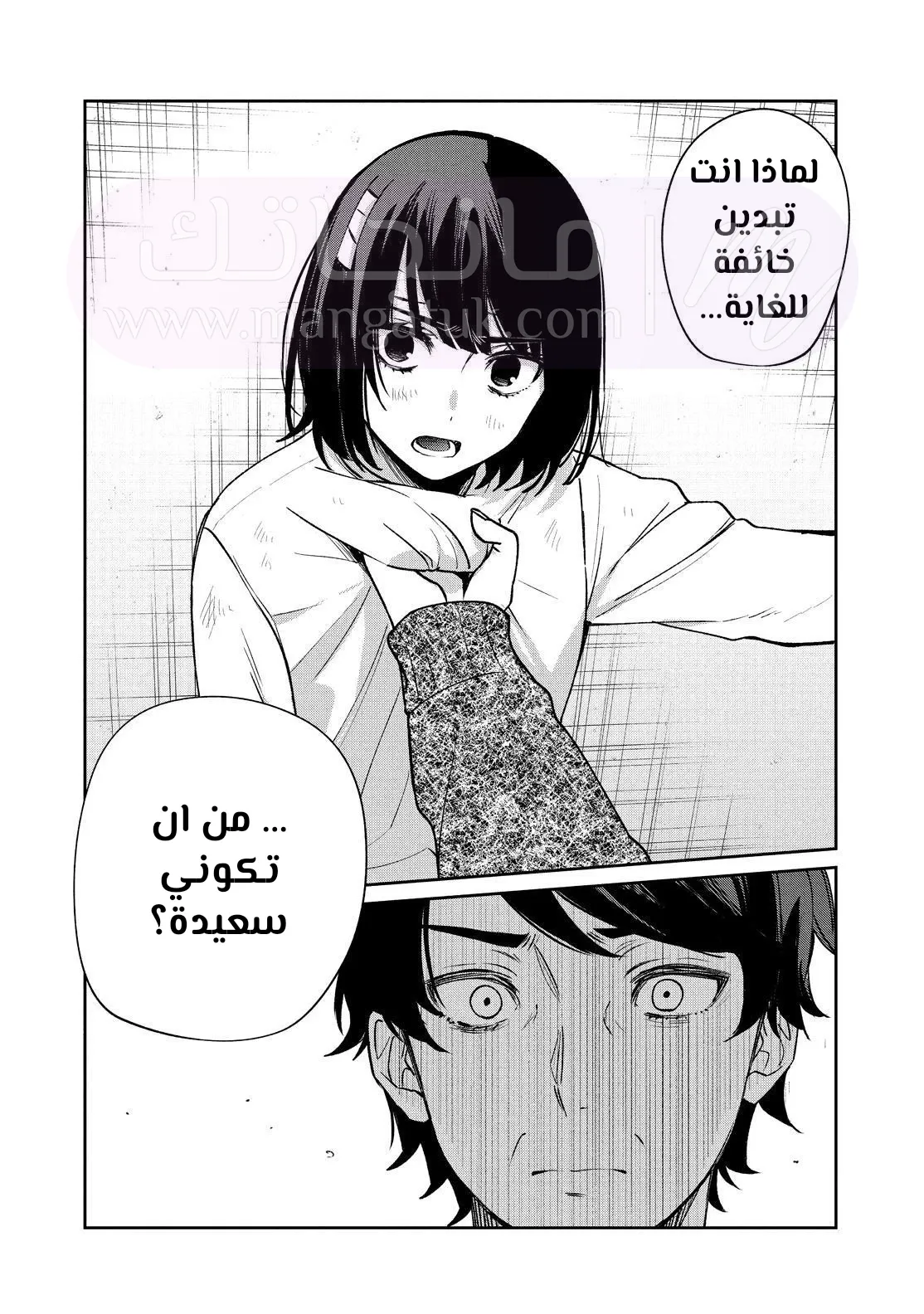 الصفحة 27