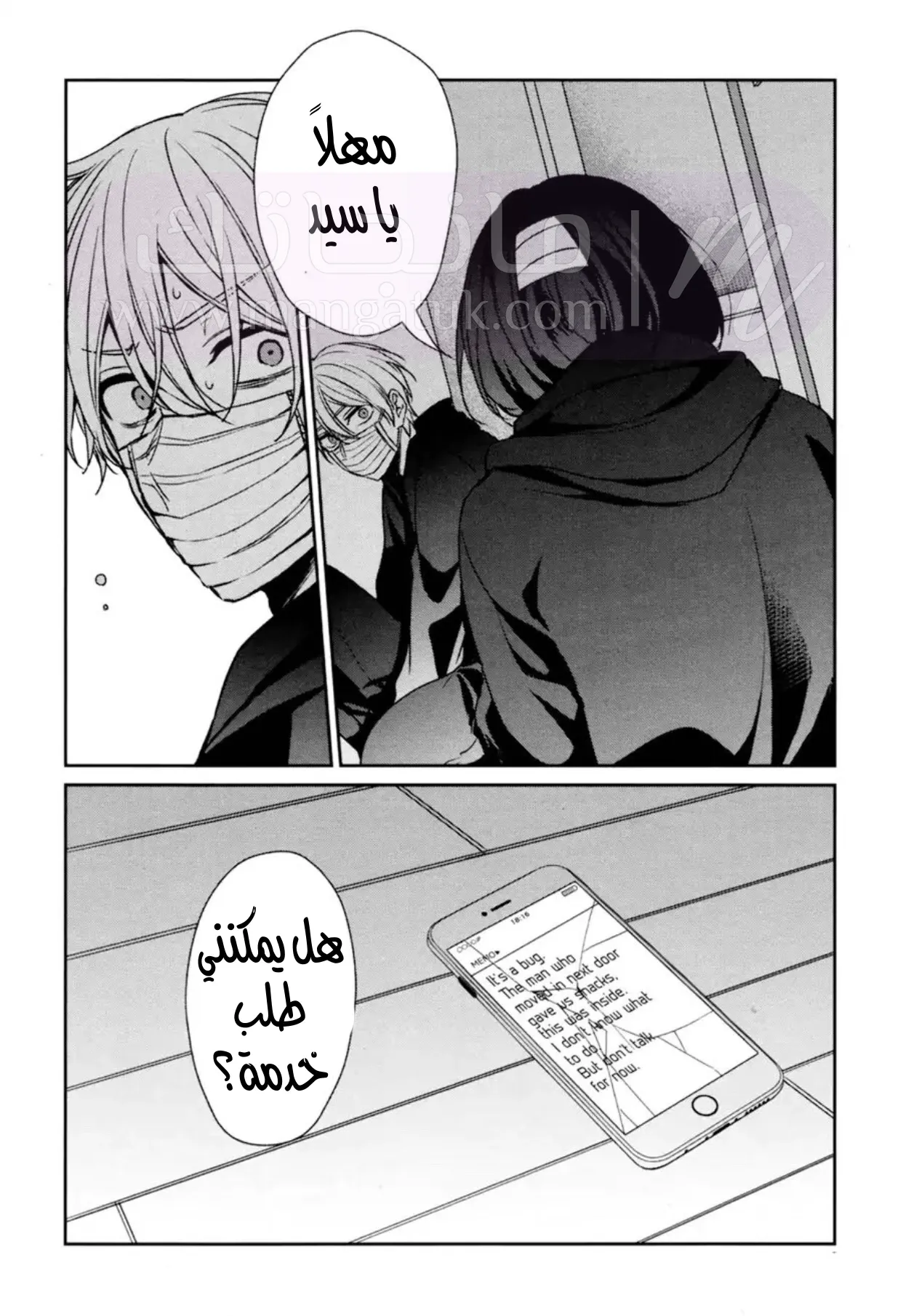 الصفحة 17