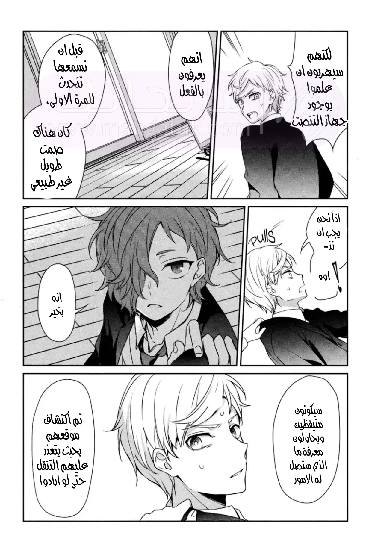 الصفحة 19
