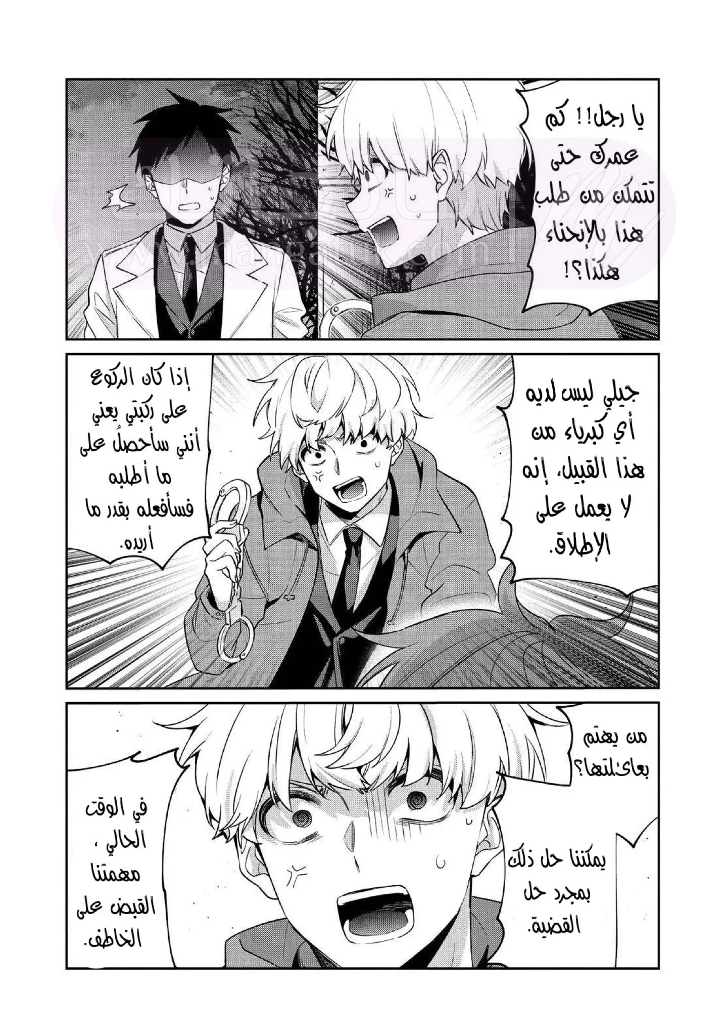 الصفحة 30