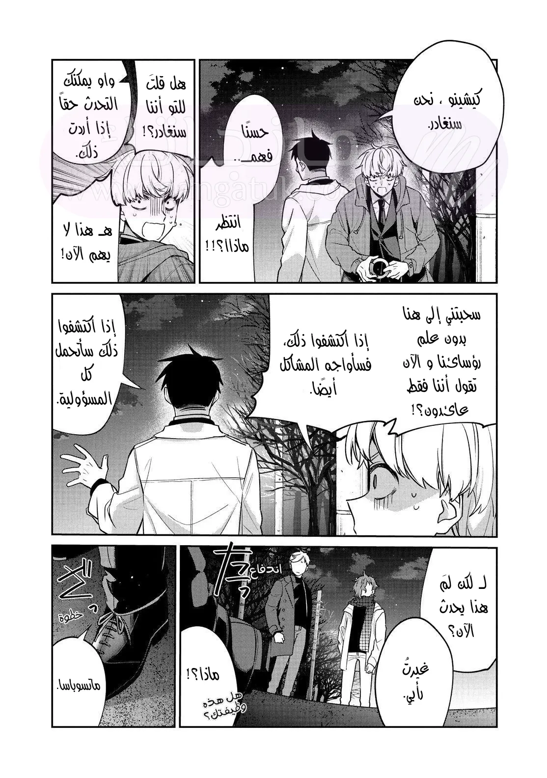 الصفحة 33