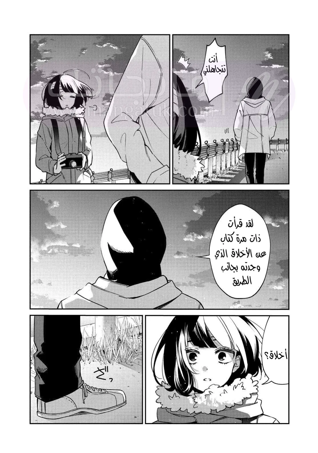 الصفحة 20
