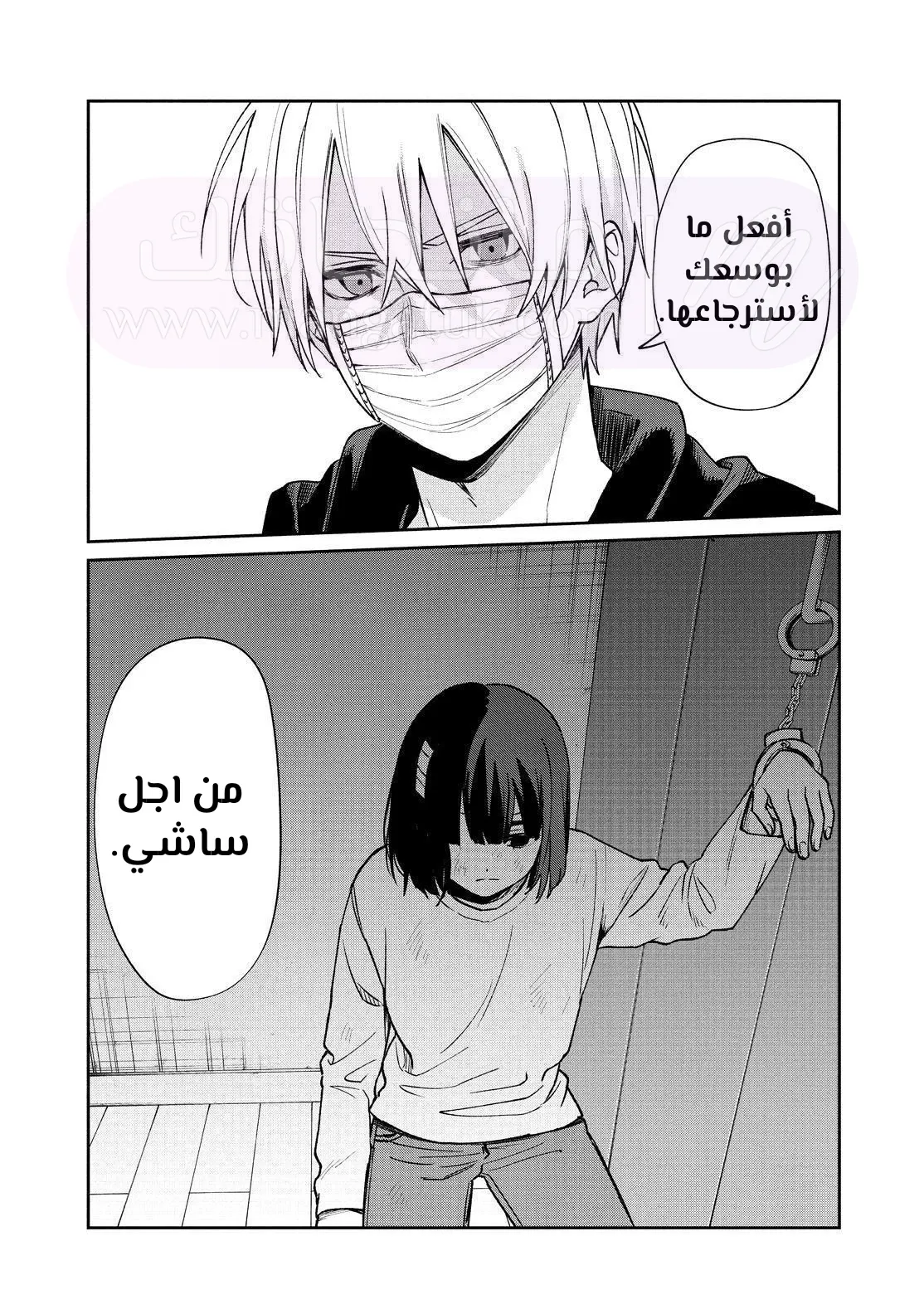 الصفحة 27