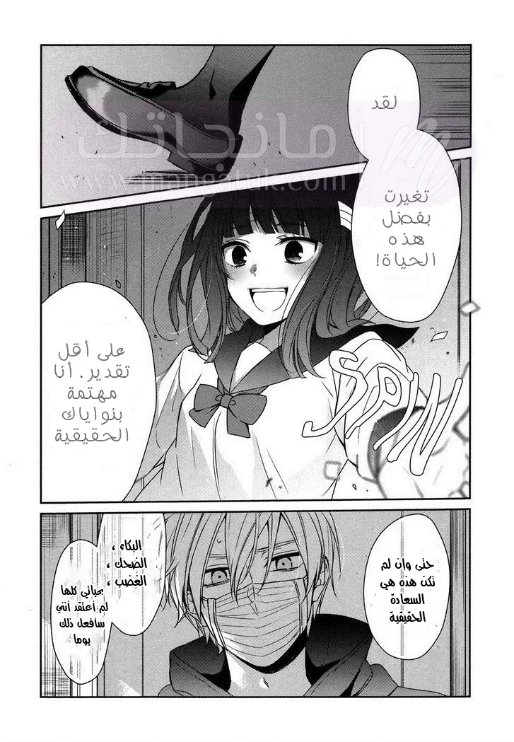الصفحة 17