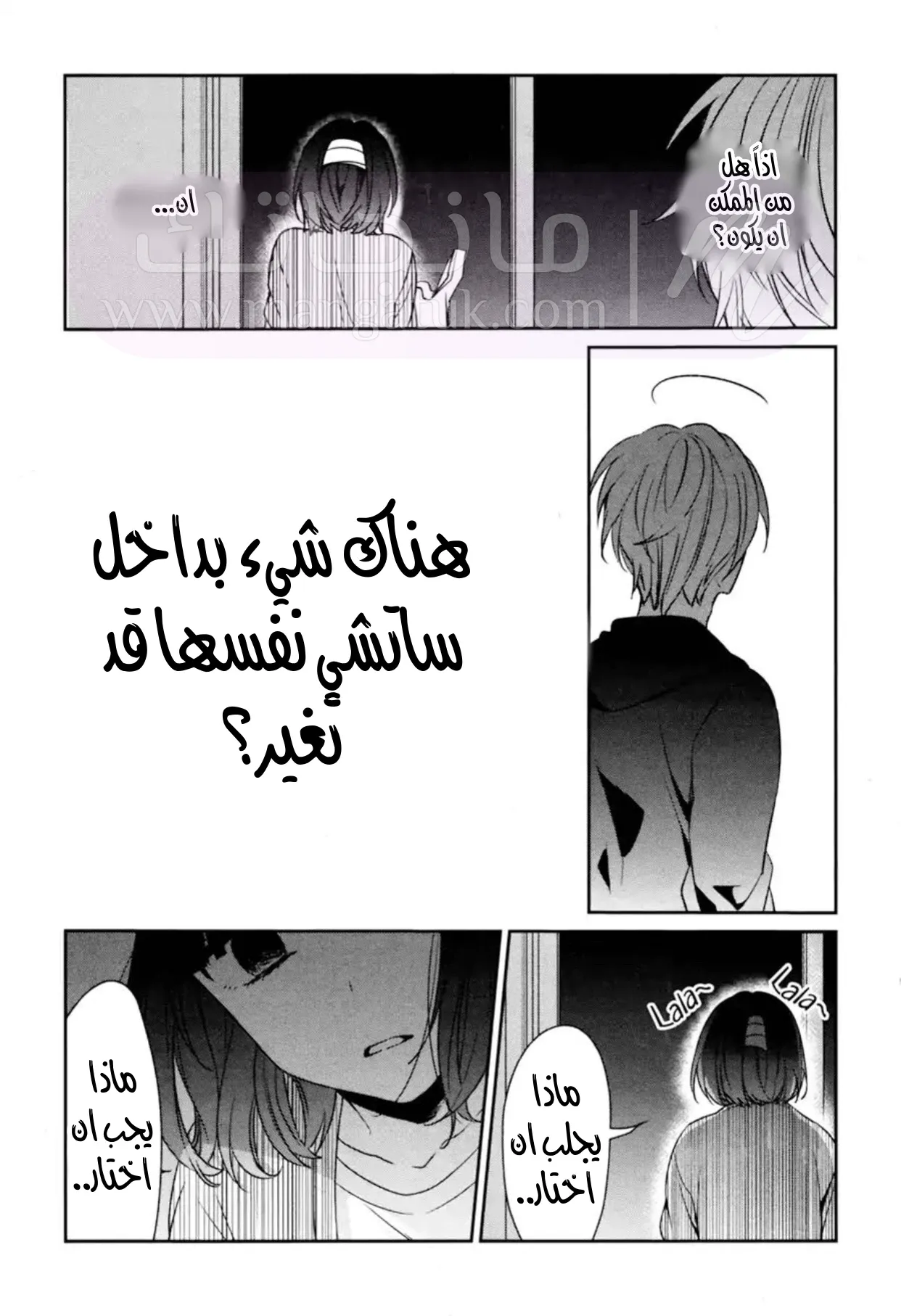 الصفحة 13