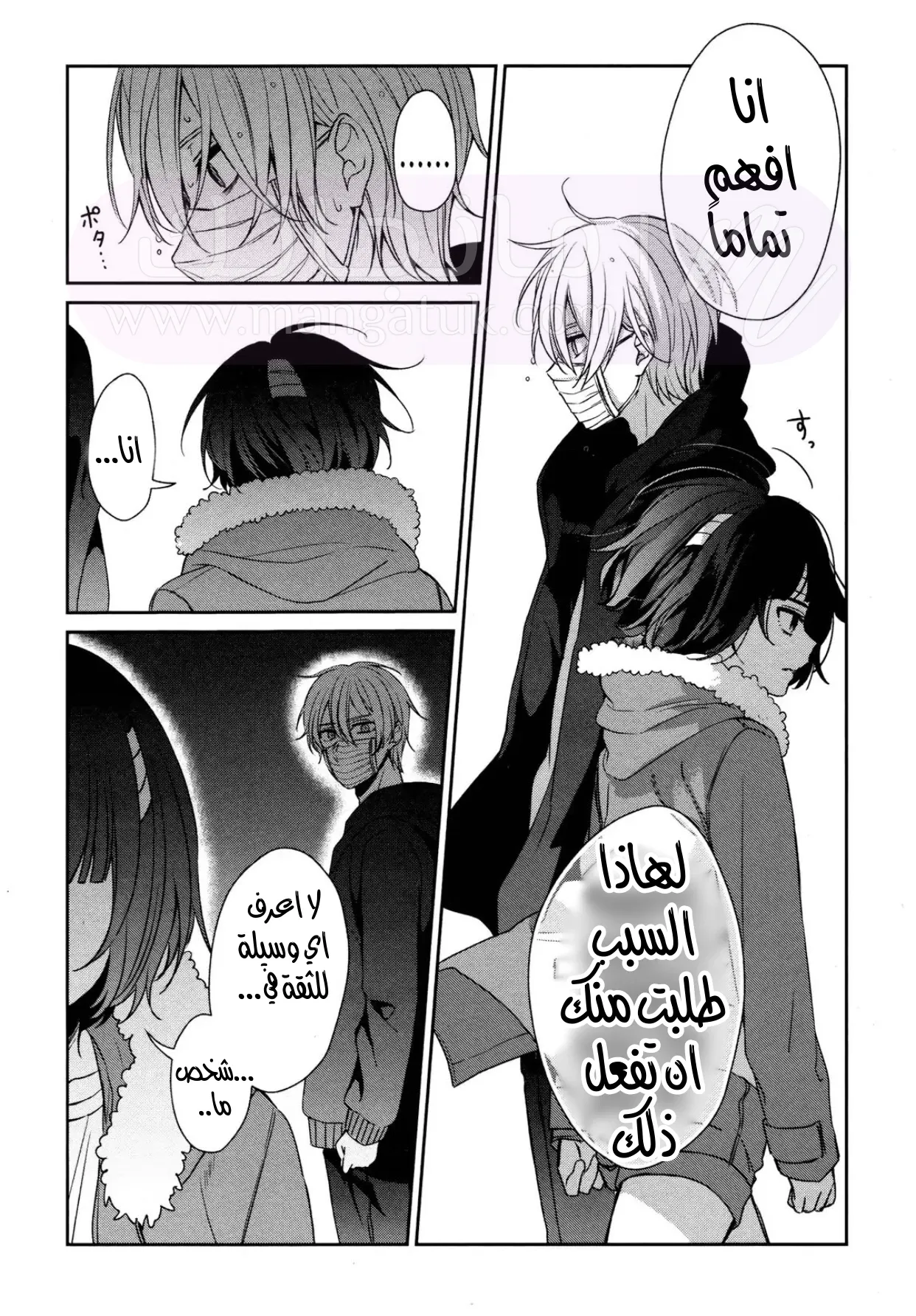 الصفحة 17