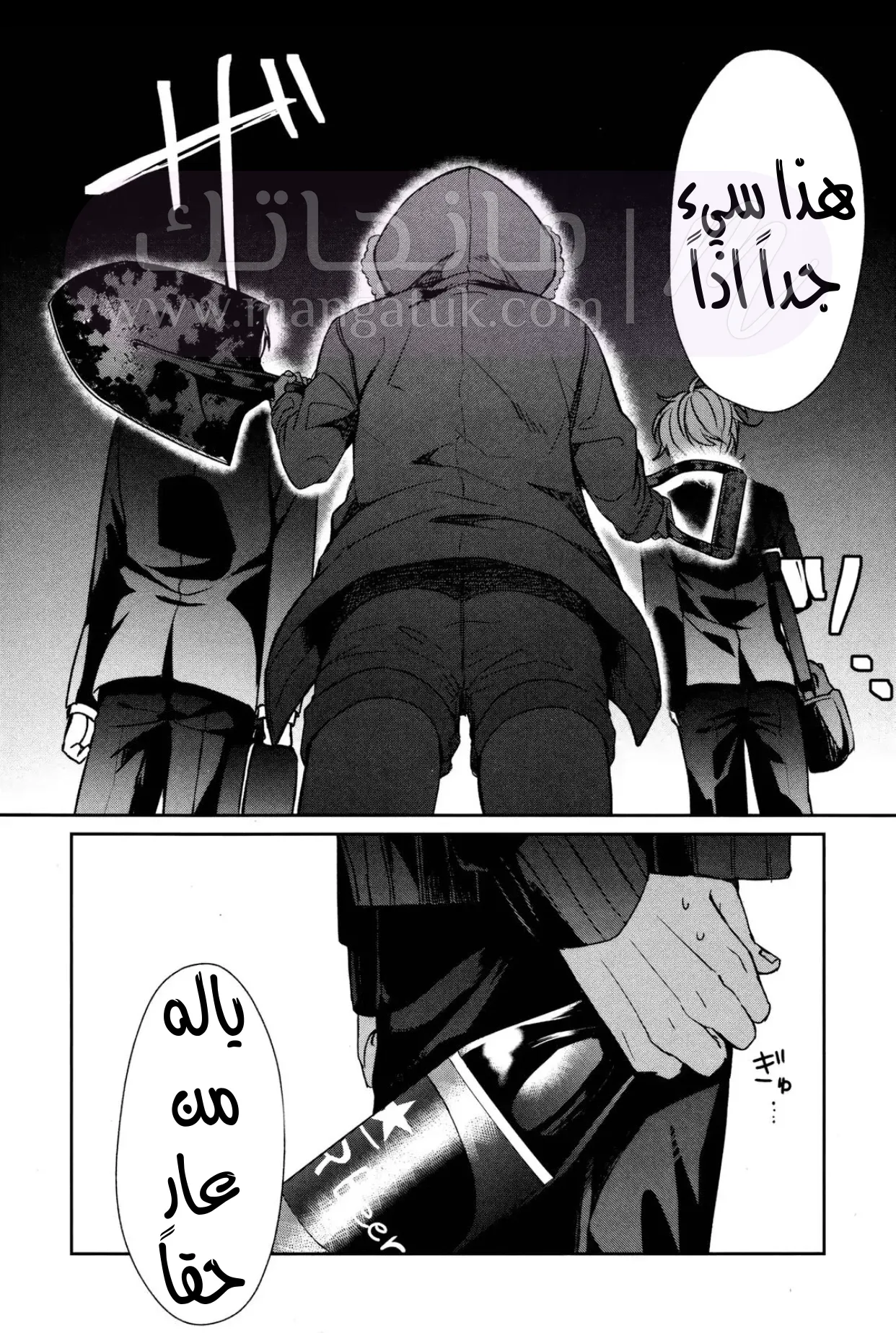 الصفحة 25