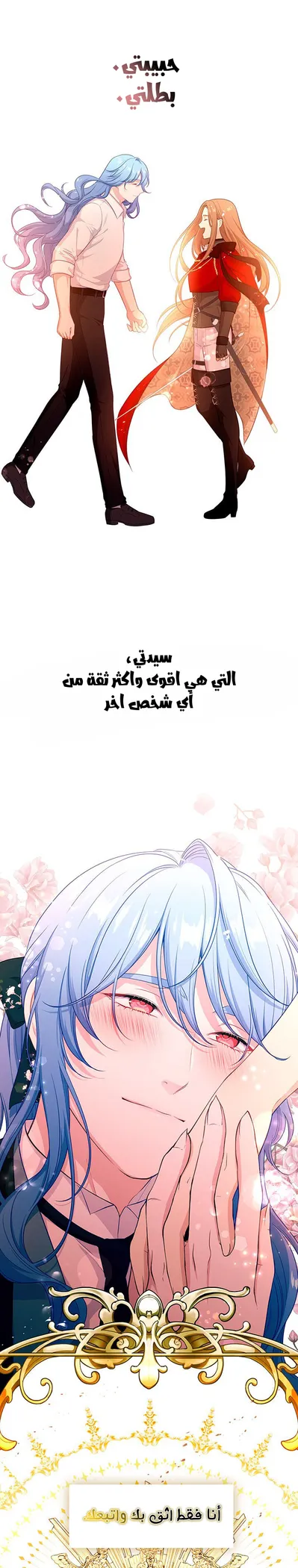 الصفحة 24