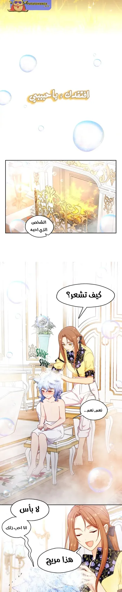 الصفحة 14
