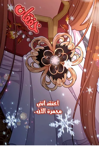 الصفحة 27