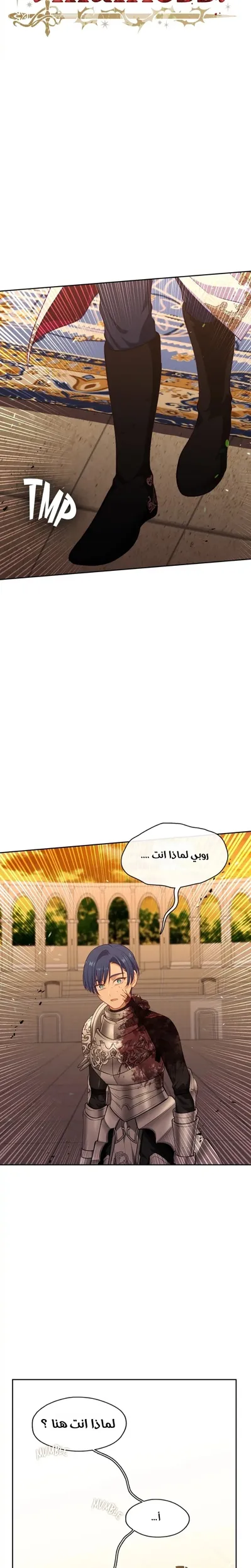 الصفحة 11