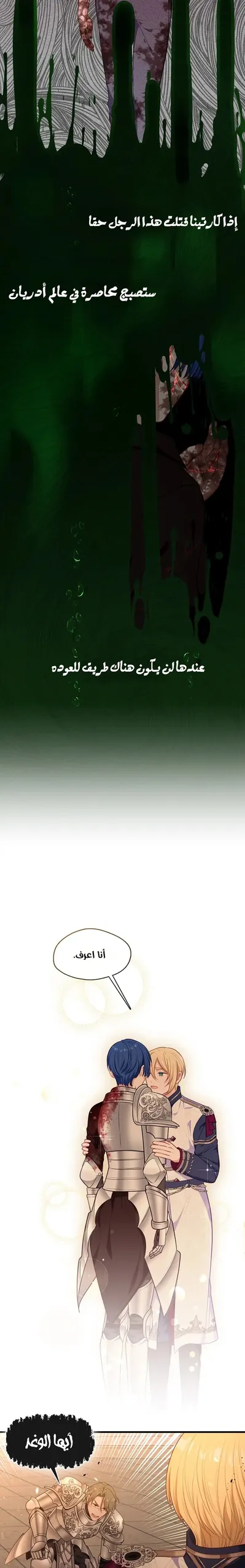 الصفحة 17