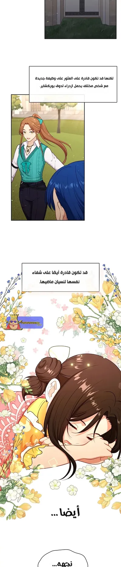 الصفحة 26