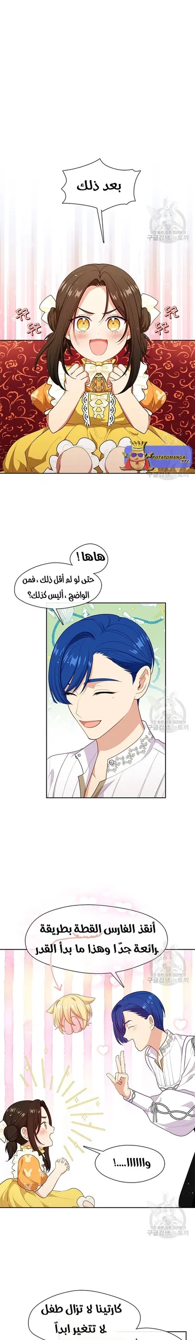الصفحة 11